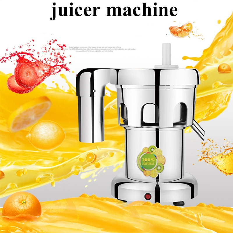 220V Leistungsstarker Entsafte – Juicer Bewertung und Preis