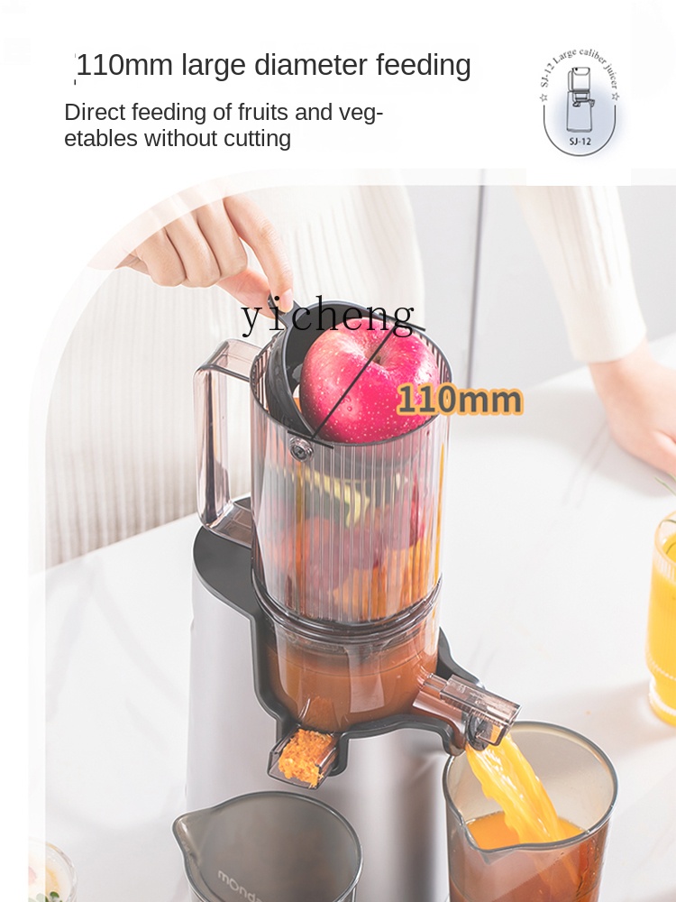 cc28 Entsafter Automatische Fr – Juicer Bewertung und Preis